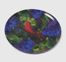  Junglekoï Tray - Gangzaï Design