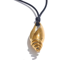  Shell Necklace