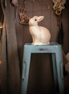 Rabbit lamp - Egmont toys