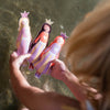 Dive Buddies
Princess Swan Multi - Sunnylife