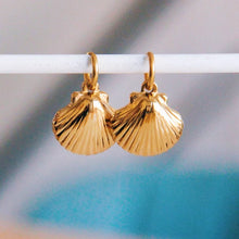  Shell Hoop