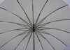 Beige Umbrella - Soake