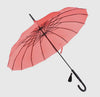 Soake Umbrella Coral