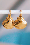 Shell Hoop