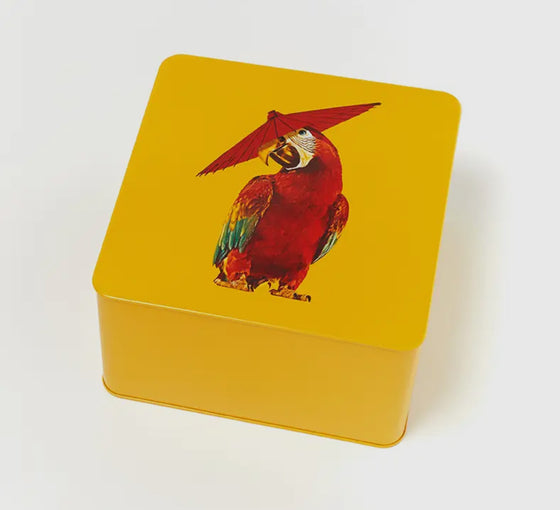 Square Tin Box Arapluie