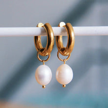  Wide Hoop Earrings With XL Freshwater Pearl